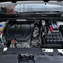 شيري أريزو 6